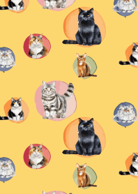colorful cat on light yellow