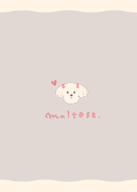 Simple / Maltese / Beige & mocha brown.