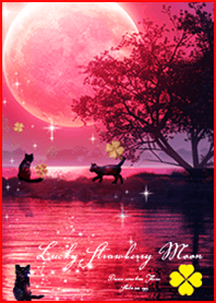 願いが叶う✨猫とストロベリームーン＊