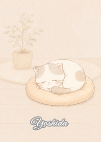 Cozy Lazy Cat: Yoshida