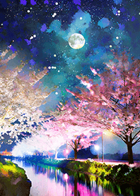 Beautiful night cherry blossoms#260