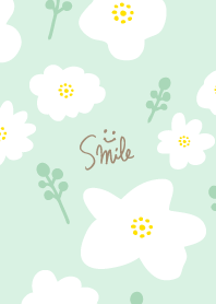 White flower fruit adult10 from Japan