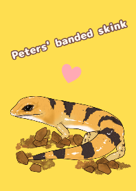 爬虫類さんたちの着せ替え 2 ピーターズ