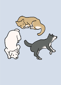 狗 wancorase_03_浅藍色