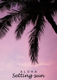 ALOHA -Setting sun-