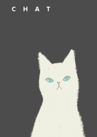 A Cat