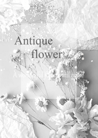 World of Antique Dried Flower8.