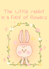 The Little rabbit in a field of flowers.