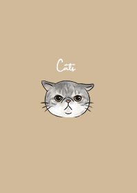 grey cat x beige