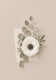 Simple Greige - Anemone