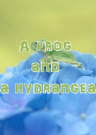 A frog and a hydrangea