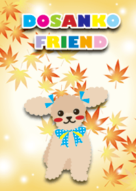 RUBY&FRIEND [toy poodle/beige] Autumn