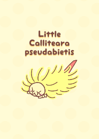 Little Calliteara pseudabietis