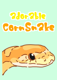 Adorable CornSnake