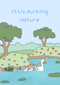 little duckling nature