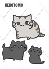 NEKOTOMO GRAY