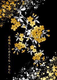 SAKURA-MAKIE-SHIDARE-2