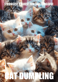 Cat dumpling 08