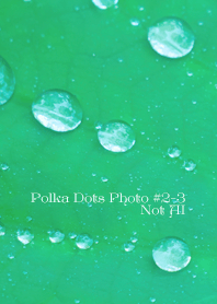 Polka Dots Photo#2-3Not AI