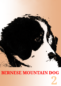 BERNESE MOUNTAIN DOG 2