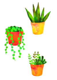 Chic house plant illust