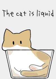 The cat is liquid [white x brown]
