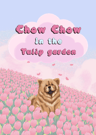 Chow chow in the tulip garden (Revised)