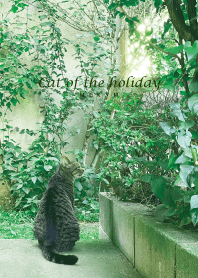 Cat of the holiday-GREEN 5