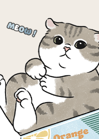 neko single14 / beige