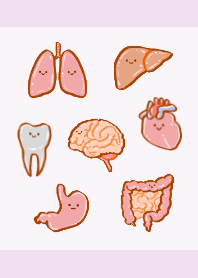 simple internal organs