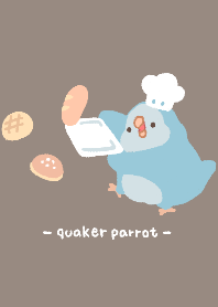 Quaker Parrot