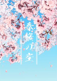 Spring Cherry Blossoms Blue sky