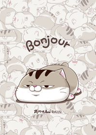 fat cat Ami theme