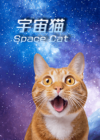 [Space cat] Surprised cat2