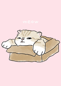 neko drawing4 - pink