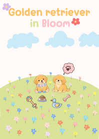 โกลเด้นรีทรีฟเวอร์ท่ามกลางดอกไม้บาน