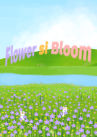 The flower is blooming