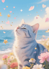 a cat on the beach 04