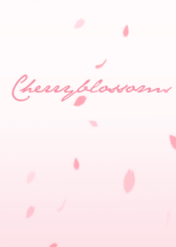Cherry blossoms shower