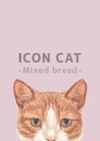 ICON CAT -Mixed breed cat- PASTEL PK/01