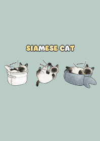 siamesecats5 / mint