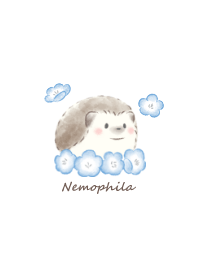 Hedgehog and Nemophila -white-