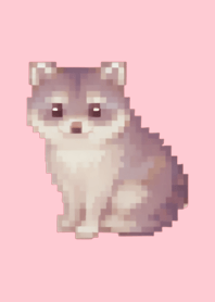 Raccoon Pixel Art Theme  Pink 03