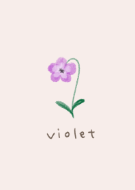 a sweet violet