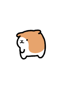 cute guineapig Theme