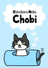 チョビひげ猫のチョビ