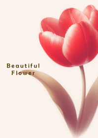 Beautiful Flower-LOVE TULIP 8