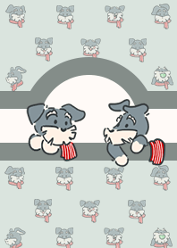 灰色雪納瑞與紅色領巾