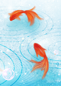 Good luck! Dressing up a goldfish