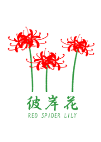 彼岸花 ～red spider lily～